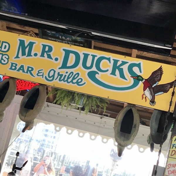 mr-ducks-ocean-city-maryland